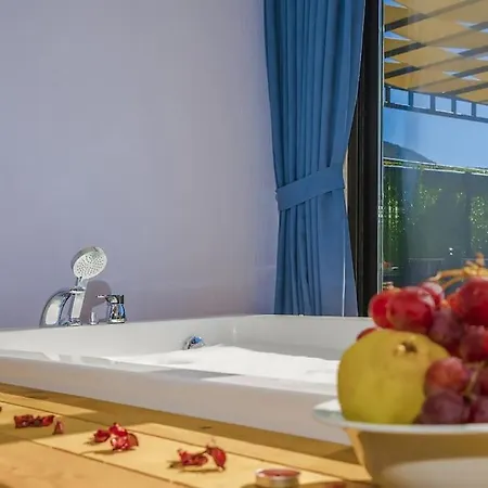 Ortac 4 Doga Icerisinde, Korunakli Vila